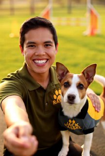Dog Training Background
